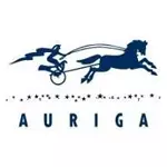 Logo for Auriga